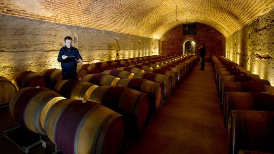 [커버스토리] 9년 내리 수입량 최대, 칠레 와인 그 묘한 매력