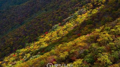 [산수화로 배우는 풍경사진] 15 - 천기의 패턴을 읽고 활용하라