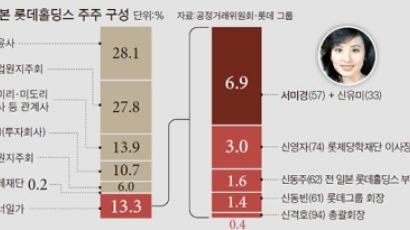 서미경 모녀 롯데홀딩스 지분 6.9%…가족 중 최대