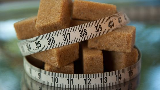 WHO, '세계 비만의 날'맞아 설탕음료 과세 권장