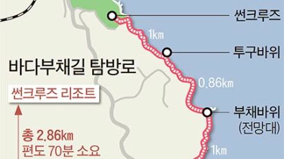 [현장 속으로] 70만 년 전 동해, 정동진에서 만나다