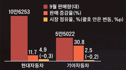 믿는다 링동·KX5…현대·기아 중국시장 회복 안간힘