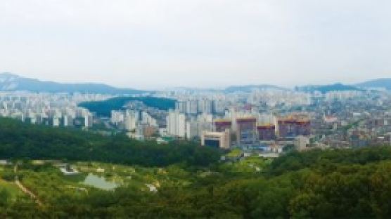 [재건축 뜨자 뉴타운도 ‘들썩’] 서울에 재건축만? 알짜 뉴타운도 있다 