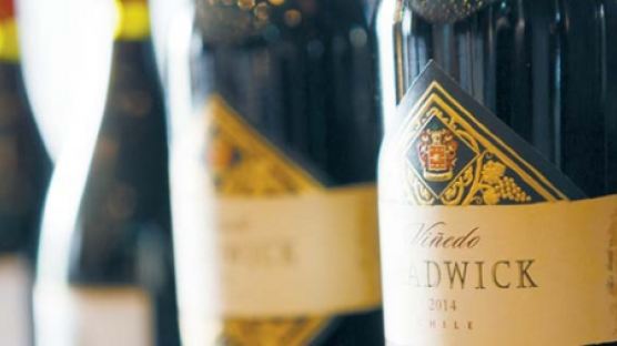 [gift&] 칠레의 퍼펙트 와인 ‘비네도 차드윅’