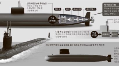 새누리당 “핵 추진 잠수함 조기 도입해야”