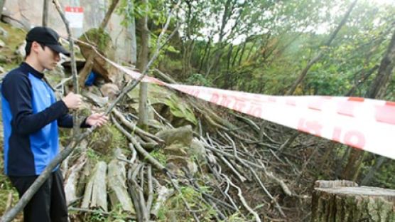 무등산 나무 100그루 베고 불도 피워…경찰 불법행위 수사