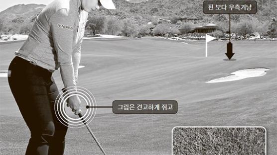 [골프여왕 박세리 챔피언 레슨] 풀에 공 박혔을 땐 핀 노리지 말고 탈출에 집중