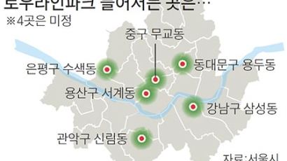 서울 자투리땅 활용, 뉴욕처럼 ‘로우라인 파크’ 만든다