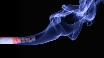 담배를 하루 한 갑 피면 매년 폐 세포 150개 DNA가 변이돼