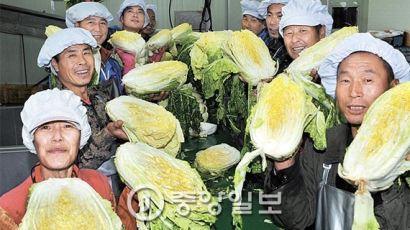 [현장 속으로] 농민 “중국 청년 없으면 배추농사 애먹어” 필리핀인 “인심 좋은 한국 오려고 줄서요”