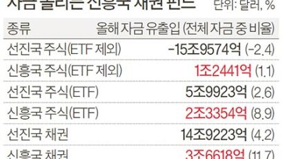 작년 -15%, 올핸 12%…신흥국 채권에 돈 몰린다