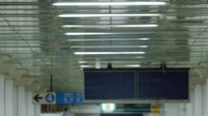 12일 대규모 집회 지하철 임시열차 운행...서울시 "시민 불편 최소화"