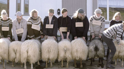 [매거진M] 아이슬란드에 대한 영화적 체험. '램스'