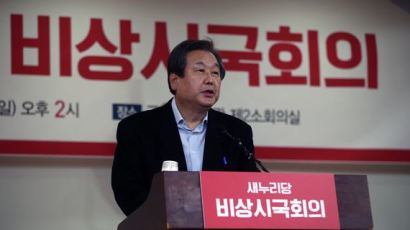 김무성 "최순실, 새누리 공천 개입 가능성 있다"
