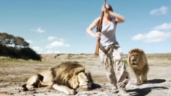 (영상) 사냥꾼에게 복수하는 사자