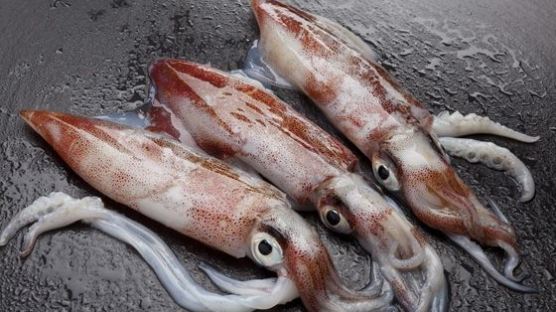 오징어 가격 상승세…중국 어선 마구잡이 조업 등으로 생산량 감소 