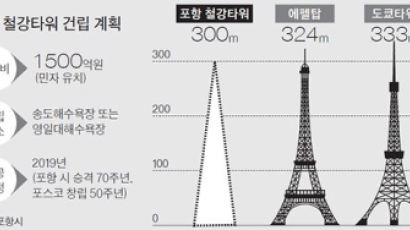 철강도시 랜드마크 vs 예산 낭비…300m ‘포항 에펠탑’ 논란 가열
