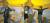 인상주의 화가들의 작품은 컨버전스 아트로 다시 태어나 벽에 걸린 채 끊임없이 움직인다. 김혜연·이웅찬·문지훈(왼쪽부터) 소중 독자가 그림이 움직임과 동시에 점프를 하고 있다.