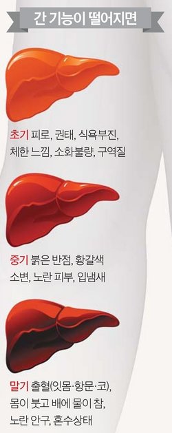 위장기능 강화를 촉진하는 부추김치부추김치재료부추김치레시피