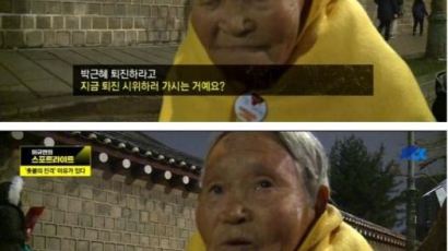 광장의 중심에서 "대통령 퇴진하라" 외친 100세 할머니
