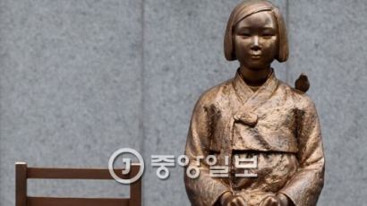 고아 2명 입양해 키운 위안부 할머니 별세…정부 등록 피해자 39명만 남아