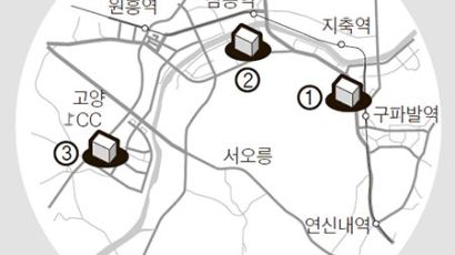 롯데 이어 신세계·이케아 깃발…수도권 서북부 유통 삼국지
