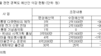 삭감 삭감…초라한 박정희 관련 사업 예산 