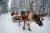 지난 15일 핀란드에서는 크리스마스를 앞두고 산타클로스가 루돌프와 썰매를 타는 장면을 연출하고 있다. [로이터=뉴스1]