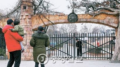 [사진] AI 우려 서울대공원·어린이대공원 휴장
