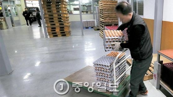 30년 계란장수 “가게 접을 판” 김밥집 “버티기 급급”