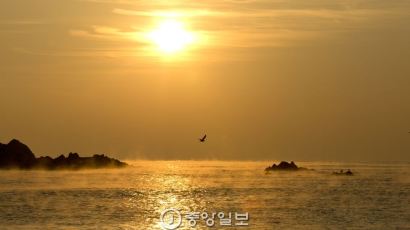 [서소문 사진관] 경주 문무대왕릉 물안개의 비밀