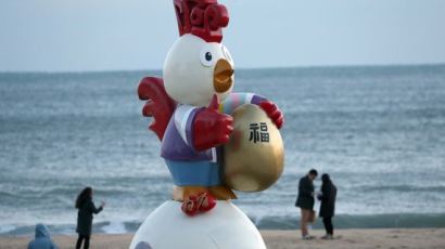 부산 해운대에 새해 정유년 닭띠해 상징물 등장