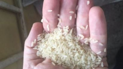 나이지리아서 플라스틱 쌀 100여 포대 밀수 적발