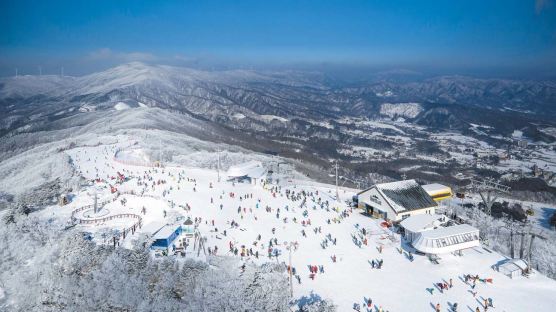 평창·제주서 스키·골프·스파 다 즐기는 ‘스마트레저’ 회원권 