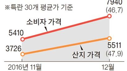 계란 1판 10000원