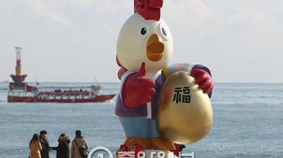 [사진] 해운대에 새해 닭 조형물 등장
