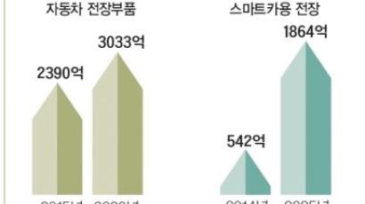 [2017 경제 전망 | 한국 12대 주력산업 - IT·가전] 삼성·LG, 전장 산업 주도권 싸움 치열할 듯 