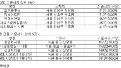 전국 오피스텔 기준시가 5년 만에 상승…'최순실 거주' 피엔폴루스 가장 비싸