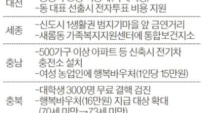 대전, 카 셰어링 본격 도입…강원도 ‘효 119센터’ 설치