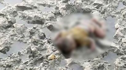 '제2의 쿠르디' 방글라데시로 도망가다 진흙탕서 숨진 16개월 아기 