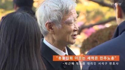 [영상] 반격 시작한 박 대통령 측 "촛불은 민심이 아니다"