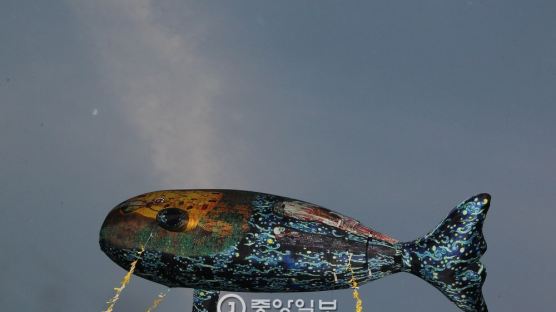 [사진] 세월호 인양 기원 고래 하늘에 띄운 대구 집회