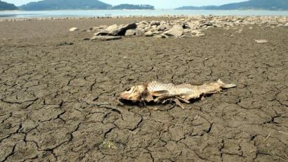안전처 "경기·충남·전남 일부지역 가뭄 대비해야"