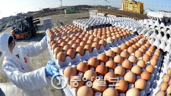 미국산 달걀 잇달아 '긴급수송'…16일 도착