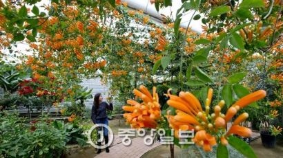 [서소문 사진관] 미리 만나는 봄… 카메라 하나 들고 식물원 여행하기