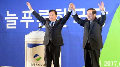 늘푸른한국당 정식 창당, 이재오ㆍ최병국 공동대표 선출