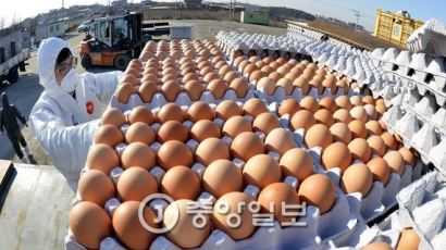 롯데마트, 미국산 계란 판매한다…마진없이 30개에 8990원
