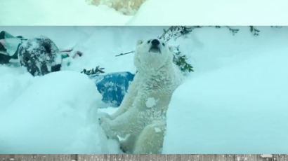 미국 포틀랜드에 기록적인 폭설…동물원 북극곰은 '덩실덩실'