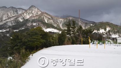 대설경보 내려진 울릉도·독도…15cm 이상 눈 쌓여