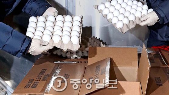 수입 계란 풀리기 전인데…한국 계란 가격 떨어진 이유